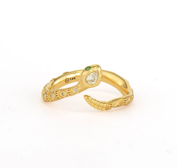 Tiny Rattlesnake Band