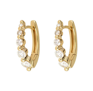 Small Oval Graduated Hoop Earrings