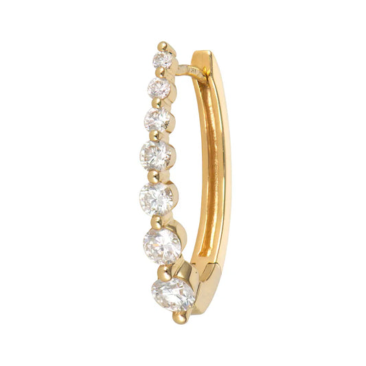 Large Oval Elongated Hoop Earring