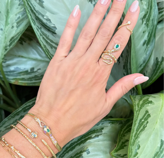 Tiny Rattlesnake Band