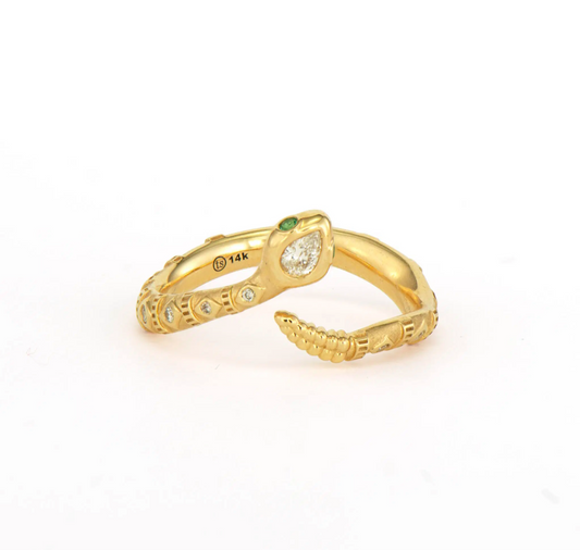 Tiny Rattlesnake Band